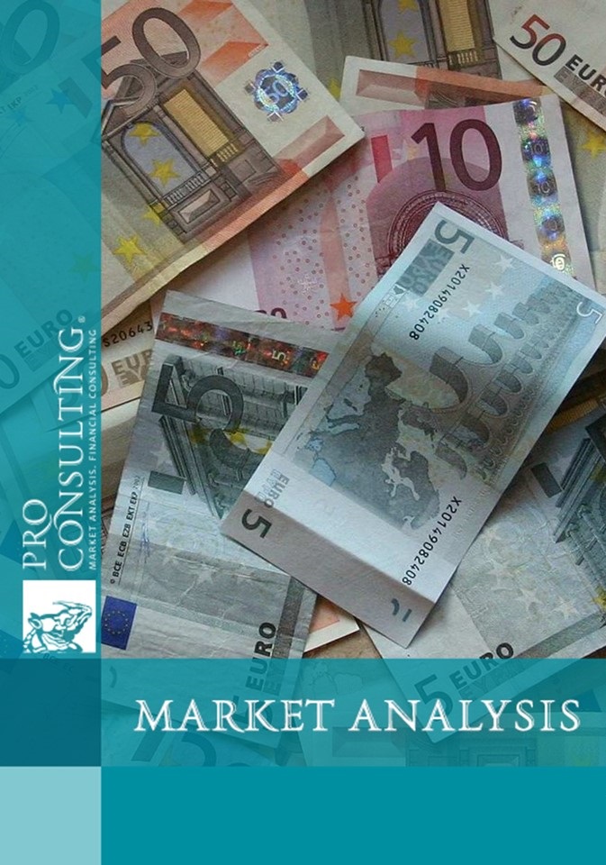 Market research report on pawnshops in Italy.  2014